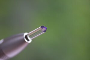 Healthy Immune System: the basics